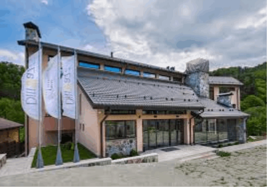 HOTELS IN REGIONS DILIJAN ``DILIJAZZ HOTEL``